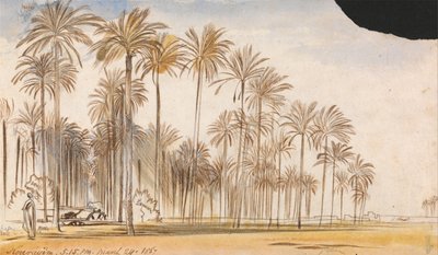 Kourayim door Edward Lear